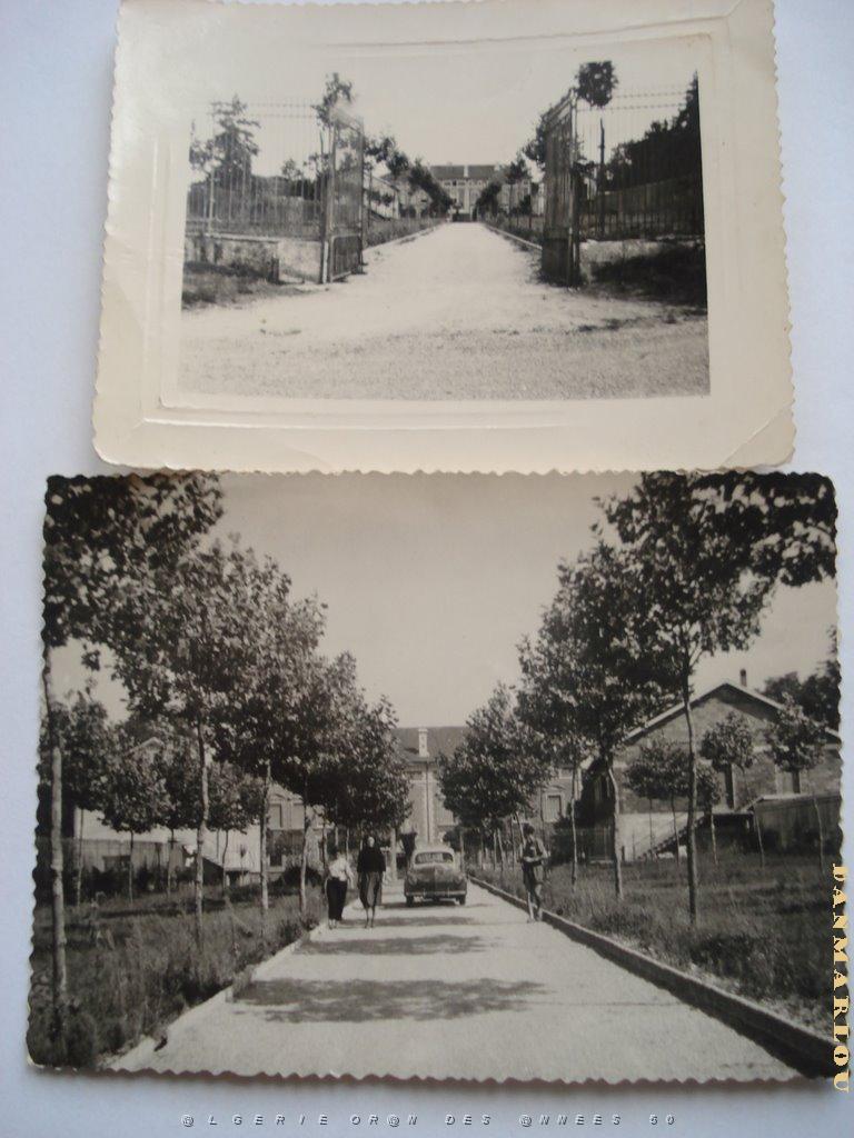 COLO LA PEYROUSE 195X 004 VUE GENERALE.jpg -                                